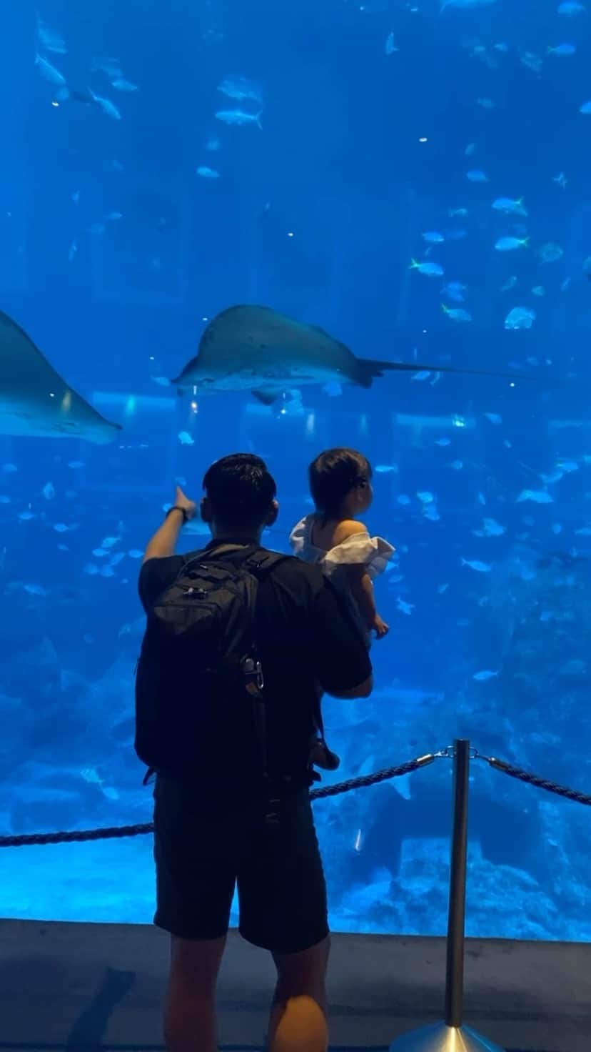 i_am_romikoのインスタグラム：「家族旅行で行ったセントーサ島にある　@s.e.a.aquarium 🐟 中はめっちゃ涼しいしコンパクトで見やすくてちょうど良かった！universalの近くにあって雨の日はこちらで過ごすのもいいかな〜！ 思い出に❤️ #セントーサ島#シーアクアリウムシンガポール #シンガポール生活 #シンガポール在住 #家族旅行#育児日記」