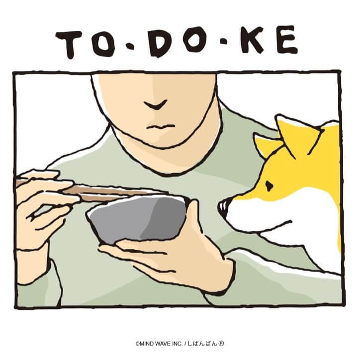 オオゴシヤステルのインスタグラム：「🟠194話🟠  TO・DO・KE  【過去マンガはこちら】 👉 #しばんばんまんが  #今日のしばんばん #しばんばん #shibanban #むちころばんばん #muchicorobanban #微笑柴犬 #マインドウェイブ #mindwave #オオゴシヤステル #柴犬 #しばいぬ #sibainu #柴犬との暮らし」