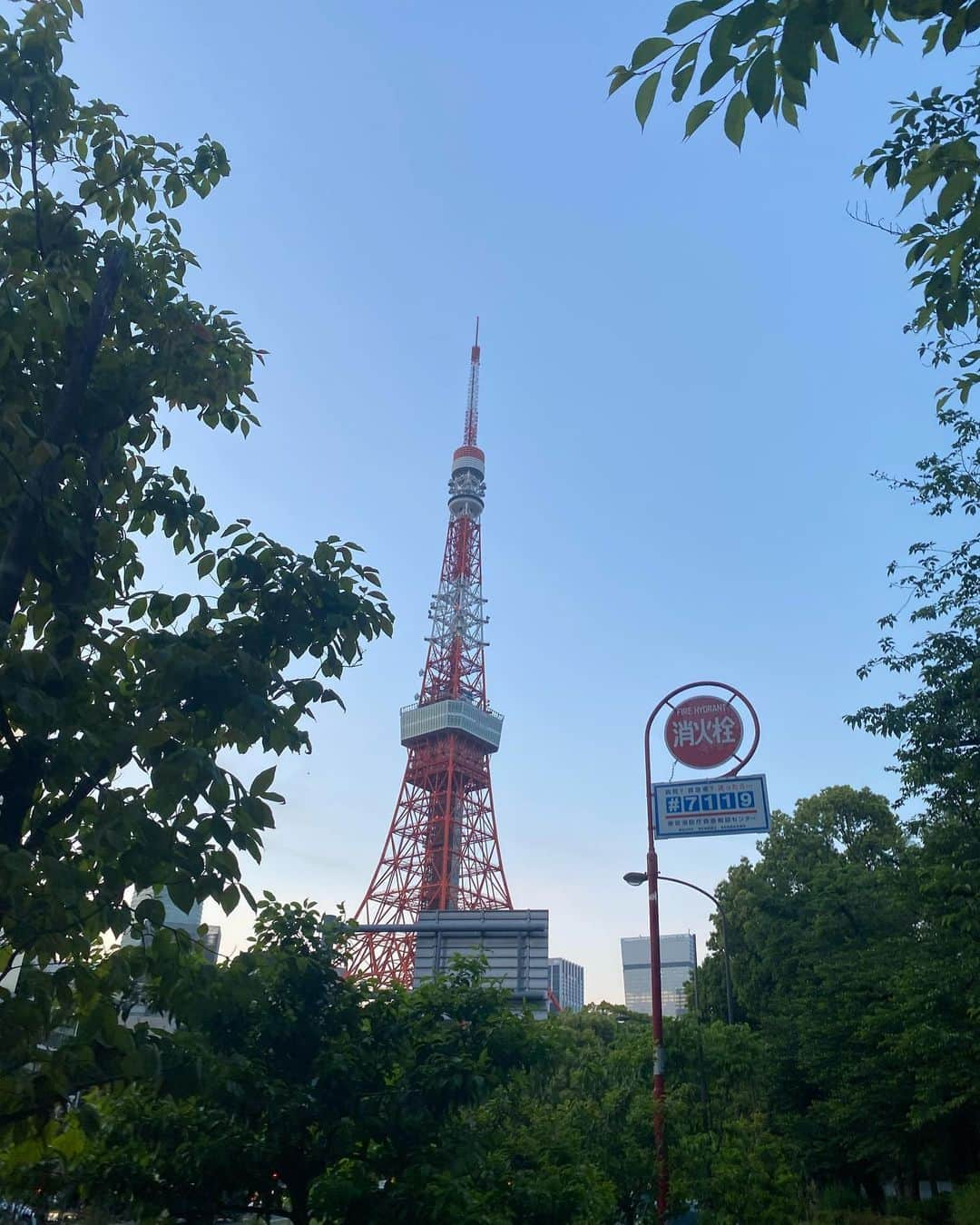 にゃんさんゴルフさんのインスタグラム写真 - (にゃんさんゴルフInstagram)「GWに行った東京タワー🗼  鯉のぼりと、ビアガーデンもあって 混んでた🍻🎏  #東京観光#東京タワー #こどもの日#鯉のぼり #ゴールデンウィーク #gw#tokyo#tokyotower」5月8日 18時45分 - miiiii0228