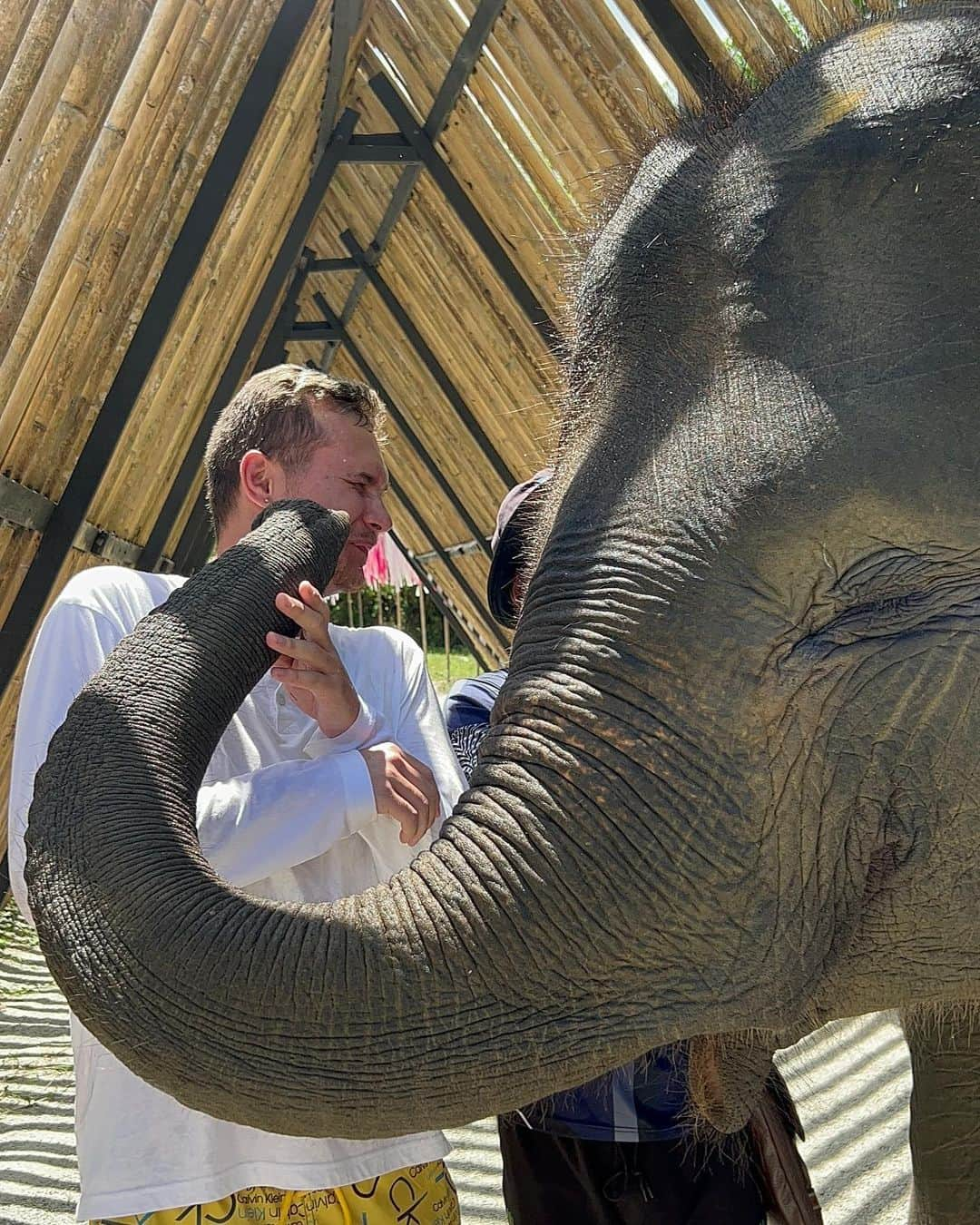 エゴール・ザクロエフさんのインスタグラム写真 - (エゴール・ザクロエフInstagram)「🧍🏼‍♂️🫂🐘」5月8日 19時18分 - egorzakroev