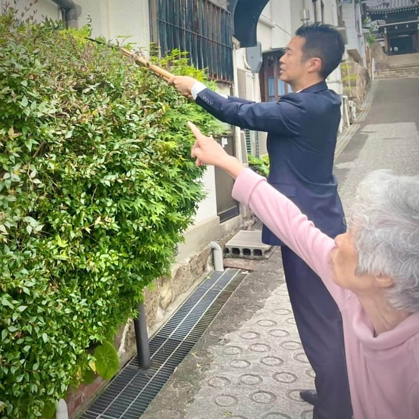 井坂信彦さんのインスタグラム写真 - (井坂信彦Instagram)「道端でご婦人に「兄ちゃん背ぇ高いから、上の方の枝を切ってくれへん？」と頼まれました。 180cmに生み育ててくれた両親と、妙に背の高かった祖父の遺伝に感謝です。 切り始めたら私もご婦人も次々と気になる所が出てきて、あっちもこっちも延々と切ることに。 木を切る改革でお役に立てて光栄です。」5月8日 19時38分 - isakanobuhiko