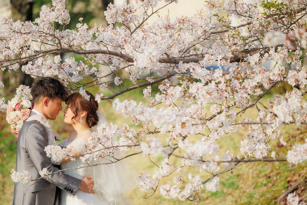 ArtGraceWeddingHillsのインスタグラム：「▼  愛する人と出逢い  愛する人と家族になる  そんな奇跡を 結婚式という１つの形に  人生で最高の1日をアートグレイスウエディングヒルズで  #アートグレイスウエディングヒルズ #アートグレイス京都 #たくさんのloveを届けよう #weddingphotography #weddingdress」