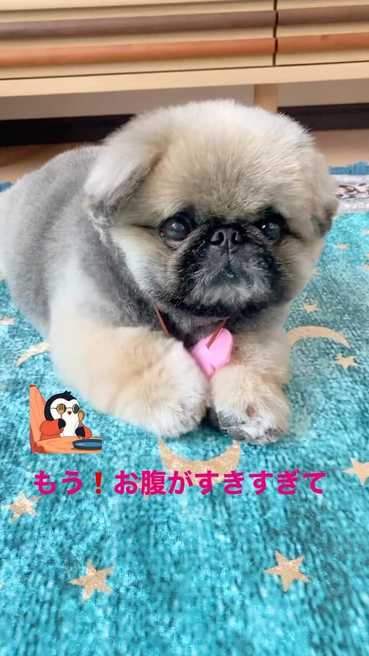 いぶそらのインスタグラム