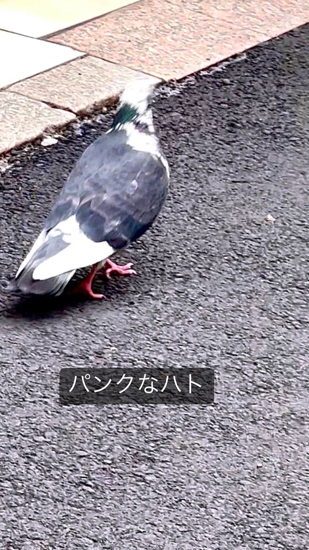 世良公則のインスタグラム
