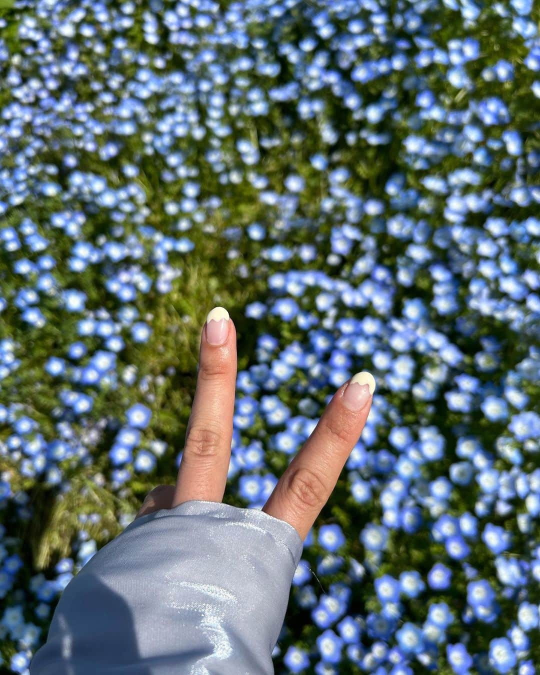 海江田麻貴さんのインスタグラム写真 - (海江田麻貴Instagram)「ㅤㅤㅤㅤㅤ  ㅤㅤㅤㅤㅤ 念願のネモフィラまつり 今年も行けて嬉しかった🩵  ㅤㅤㅤㅤㅤ なんせ花言葉が『どこでも成功』『可憐』🥹すてき！ ブルーが好きだしほんとにこのお花がだいすき🩵  ㅤㅤㅤㅤㅤ 天気のいい日に行けて良かった🥳🩵  ㅤㅤㅤㅤㅤ  ㅤㅤㅤㅤㅤ  ㅤㅤㅤㅤㅤ #まいしまシーサイドパーク #まいしまシーサイドパークネモフィラ祭り #ネモフィラ祭り #ネモフィラ畑 #ネモフィラまつり #ネモフィラ #舞洲シーサイドパーク #舞洲ネモフィラ祭り #舞洲 #まいしま #ネモフィラ #nemophila #japanesegirl #日本女孩 #大阪まいしまシーサイドパーク」5月8日 20時21分 - _makiii0924_