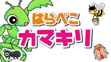 できたくん（高橋和之）のインスタグラム：「昨年から進めていたプロジェクト！！第3弾完成！！  子供達に、綺麗な歌声と楽しいアニメーションの動画を見て欲しい！と言う思いで作った動画！  「はらぺこカマキリ」  歌声が素晴らしい歌のお姉さんと、歌のお兄さんに協力してもらい  できたくんがアニメーションを担当。  できるだけ虫が可愛くなるようにデザインしました！  頑張って作ったので是非見てほしい！  小さいお子さんのいる方は、一度見てもらえたら嬉しいです！！  YouTube「ちゃんねるできたくん」で検索お願いします♪  「はらぺこカマキリ」 作詞  カマキリ先生(香川照之) 作曲  牧野奏海 coverd by ひろゆきお兄さん、まりこお姉さん アニメ：できたくん 曲製作：竹中だいち  #はらぺこカマキリ #ハラペコカマキリ #おかあさんといっしょ #みんなのうた #幼児向け #童謡 #できたくん #ちゃんねるできたくん #ロッキー石井 #田村麻理子」