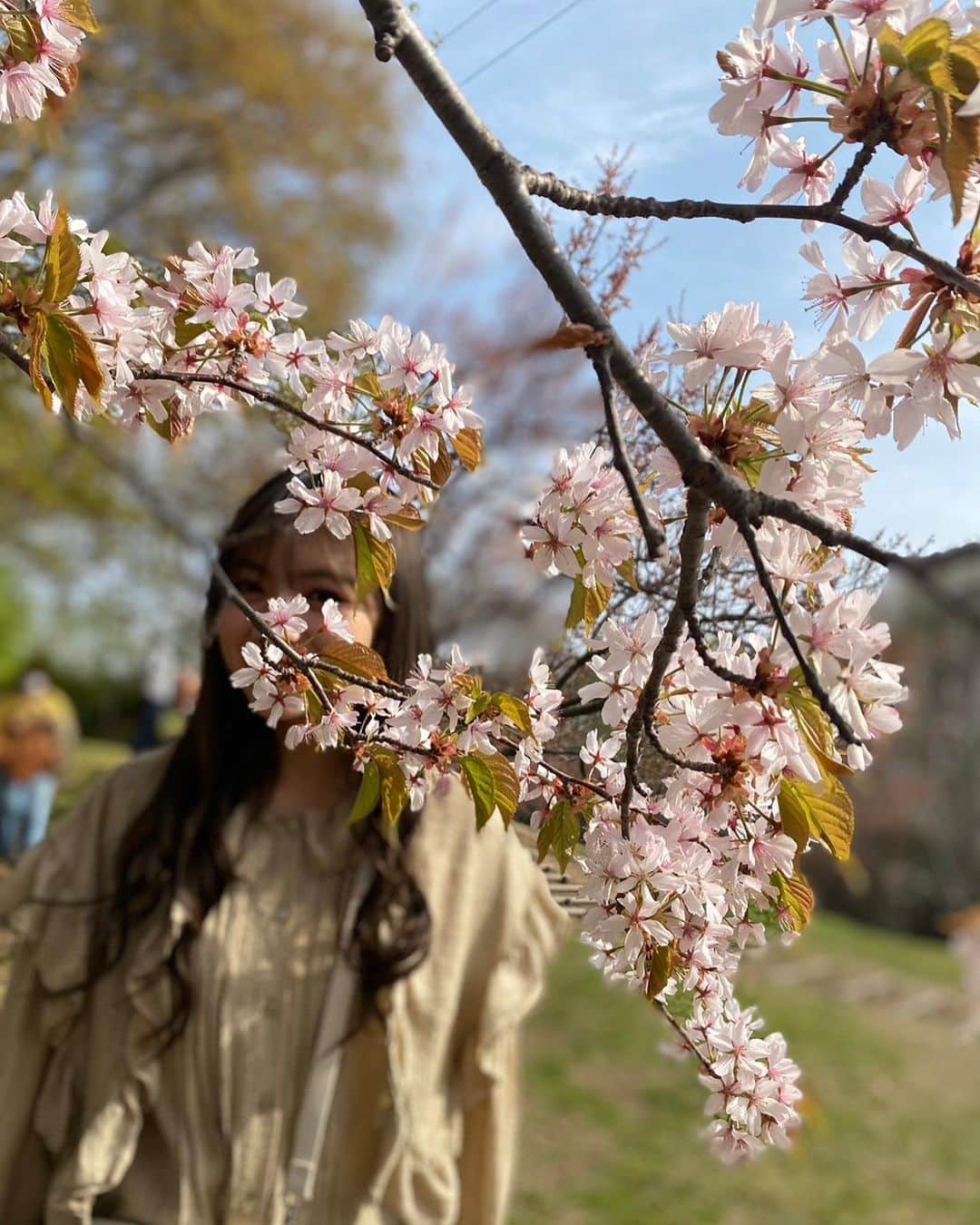 北野日奈子さんのインスタグラム写真 - (北野日奈子Instagram)「🦛🤎 北海道では、桜と梅が同時に咲きます☺️梅と桜を見にいとこのお父さんお母さんに連れて行ってもらえました🌟 札幌では梅がいーっぱい咲いてて、小樽では八重桜がいっぱい咲いてました🫧#寒暖差で風邪ひきそうダァ #今日は東京も寒かったなあ #なのにパパとママとアイス屋さんに行ってアイス買って食べました❄️」5月8日 20時29分 - kitanohinako_official