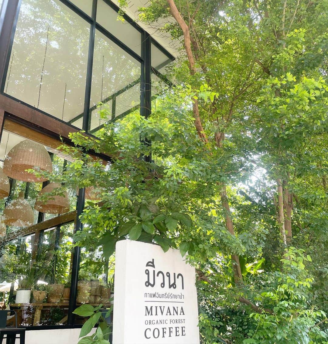 𝐴𝑁𝑁𝐴さんのインスタグラム写真 - (𝐴𝑁𝑁𝐴Instagram)「☕️✨🤍🌿 #bangkokcafe  . . 毎日だいすきな太陽たくさん浴びて！ 暑い気候に癒され、素敵な空間でのんびり… 幸せなgwでした🤍🤍🤍 . . そしてコーヒーめっちゃ美味しかった😍 日本語がなかったのでせっかくと思って メッセージ残したけど久々にペン握って うまく字が書けない＆カタコトでじわるw . . #タイ旅行 #バンコク #海外旅行 #旅行好き #モデル #thailand #bangkok #bangkoktrip #japanesemodel #泰國 #曼谷 #泰國旅遊 #กรุงเทพฯ #ประเทศไทย #태국 #방콕」5月8日 20時43分 - annas_insta_88