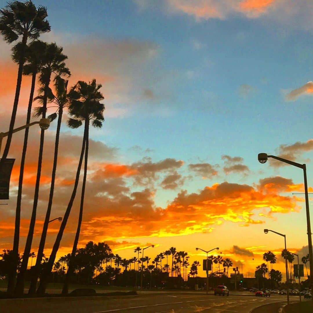 マキ・コニクソンさんのインスタグラム写真 - (マキ・コニクソンInstagram)「お空が幻想的な 夕焼けタイム… 今はサマータイムだから 20:00ぐらいまで明るいよ！ 日が長いねー。  LAはハワイと違った 美しさがあるんだよね。 まず空が広い！ あと違いは椰子の木かなぁ… ？ LAの椰子の木はヒョロっとして背が高い。 この椰子の木をみるとLAに来たー！ って思う。🌴🌴  これから朝ごはん作らなきゃ。 今朝は納豆とお味噌と目玉焼き。 お弁当は特製たまごサンド！ 母さん頑張りま〜す！💪🏼  LAの夕焼け空のおすそ分けでした！🤙🏼 まったね〜！👋🏼  #エアLA #LAのおすそ分け🤙🏼 #親バカ万歳🙌🏼 #LAの椰子の木🌴」5月8日 20時38分 - makikonikson
