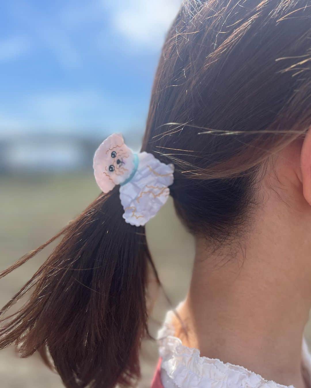 高松あいさんのインスタグラム写真 - (高松あいInstagram)「わんわんわんわんわん🐩  ❤︎  だいすきな実家のメープルと、かんちゃんにもらったかわいいトイプーちゃんと、おごはんと、ネモフィラ  メーちゃん眠そう . #地元に帰ろう  #138タワーパーク #一宮 #ヴァイオリニスト #violin #violinist  #音楽好きな人と繋がりたい #音楽のある生活 #cameragirl #instagram #instagood #小提琴 #🎻 #photographyeveryday」5月8日 20時48分 - takamatsu_ai