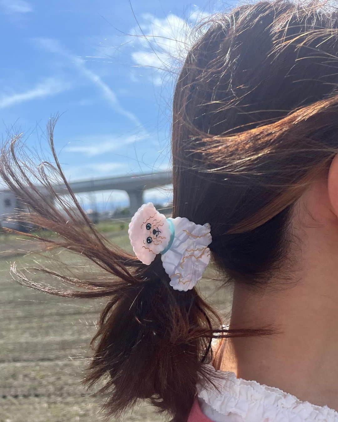 高松あいさんのインスタグラム写真 - (高松あいInstagram)「わんわんわんわんわん🐩  ❤︎  だいすきな実家のメープルと、かんちゃんにもらったかわいいトイプーちゃんと、おごはんと、ネモフィラ  メーちゃん眠そう . #地元に帰ろう  #138タワーパーク #一宮 #ヴァイオリニスト #violin #violinist  #音楽好きな人と繋がりたい #音楽のある生活 #cameragirl #instagram #instagood #小提琴 #🎻 #photographyeveryday」5月8日 20時48分 - takamatsu_ai