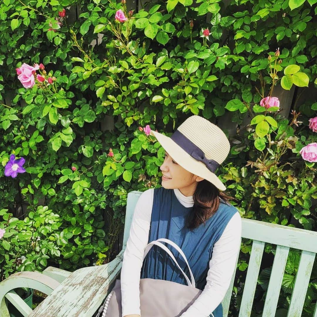 今村美乃さんのインスタグラム写真 - (今村美乃Instagram)「この季節になるといつも行く場所 横浜イングリッシュローズガーデン @yokohama_eg_official   今年は多分行けないんだけど、きっと今年も素敵に咲いてると思います♡  この場所が好きすぎて、結婚式挙げたんだ〜  #gw旅行 #gw都内観光」5月4日 23時51分 - imamurayoshino