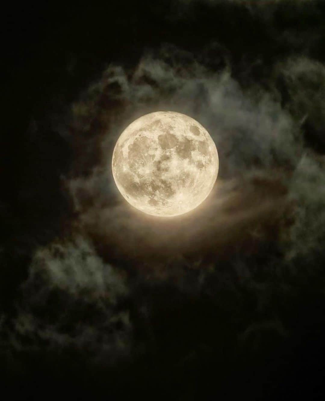 のインスタグラム：「⠀ 今、外見たらちょうど月と目が合った。 今夜は月が綺麗だ🌕  考えだしたらキリがない事をずっと考えていたり、 本を読んだり、映画観たり、ラジバンダリ。  皆様、素敵なGWを。」