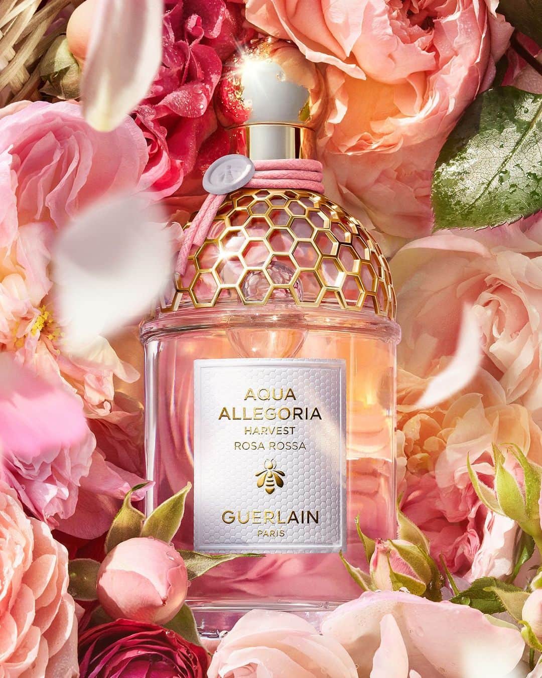 ゲランのインスタグラム：「In Rosa Rossa Harvest, the Guerlain Perfumers have taken the delicate, pure essence of the rose to new heights. Exclusive organic rosewater from Grasse, home of the Centifolia rose, joins an exquisite blend of Bulgarian and Turkish rose absolute in a unique limited edition, crafted from a single harvest.  #Guerlain #GuerlainParfumeur #AquaAllegoria」