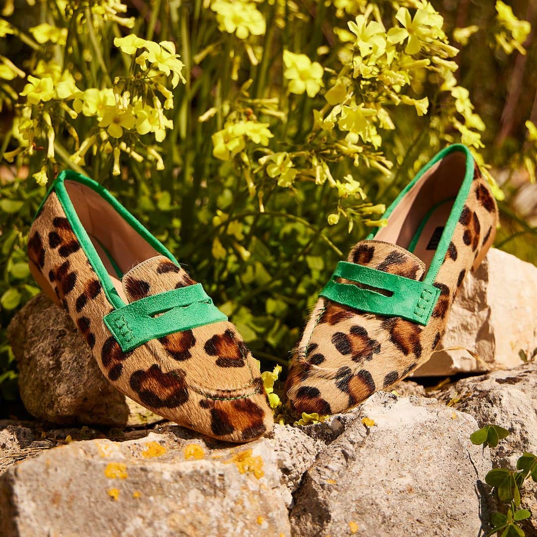 のインスタグラム：「Il nostro mocassino animalier con dettagli colorati! Perfetto per la mid-season.  #Islo #Isabellalorusso #NewCollection #ss23 #primaveraestate #NuovaCollezione #Collezioneprimaveraestate #Outfit #SpringSummerCollection #shoes #shoesaddict #italianstyle #madeinitaly.」