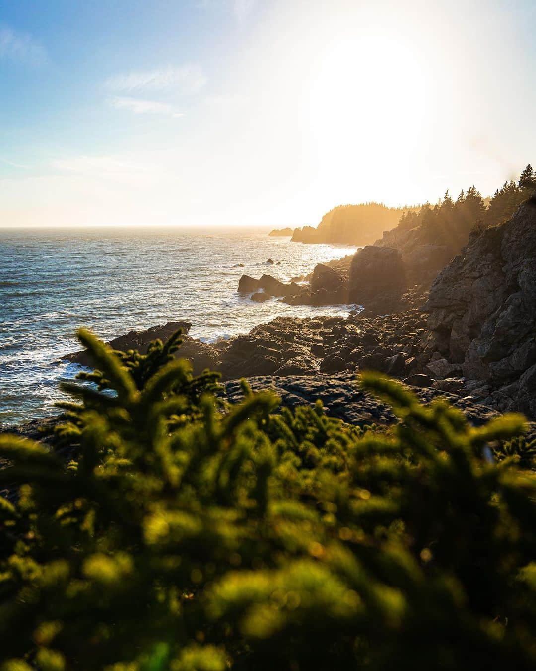 Explore Canadaさんのインスタグラム写真 - (Explore CanadaInstagram)「Sunny breaks like this remind us that summer is on the way ☀️  📷: @alexmayberry16  📍: @destinationnb   #ExploreNB  [Image description: A rocky coastline and small evergreen trees. Small waves wash ashore. The sun shines brightly, reflected off the ocean.]」5月5日 1時01分 - explorecanada