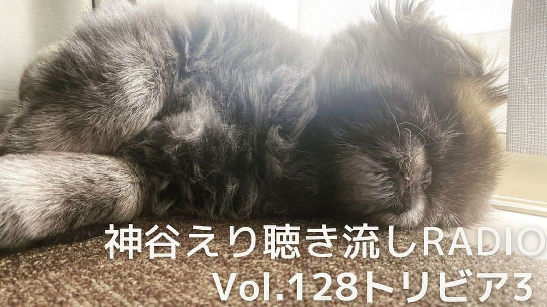 神谷えりのインスタグラム