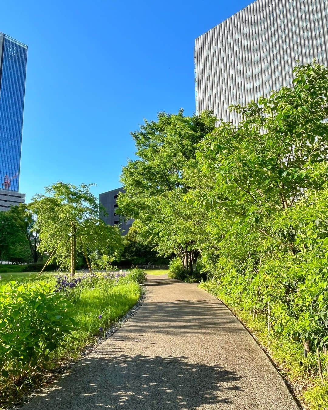 ホテルオークラ東京 Hotel Okura Tokyoさんのインスタグラム写真 - (ホテルオークラ東京 Hotel Okura TokyoInstagram)「The season of fresh green is coming🌿 緑がまぶしい季節を迎えたオークラ庭園🌳  “Okura Garden” 「オークラ庭園」  #新緑 #東京散歩 #東京ホテル #ラグジュアリーホテル #theokuratokyo #オークラ東京  #japanesegarden #tokyogarden #sdgs #freshgreen #green #naturephotography #naturegeography  #gardendesign #gardenphotography #gardengoals #gardenplants #tokyohotel #luxuryhotel  #lhw #uncommontravel #lhwtraveler #东京 #酒店 #도쿄 #호텔 #일본 #ญี่ปุ่น #โตเกียว #โรงแรม」5月4日 16時46分 - theokuratokyo