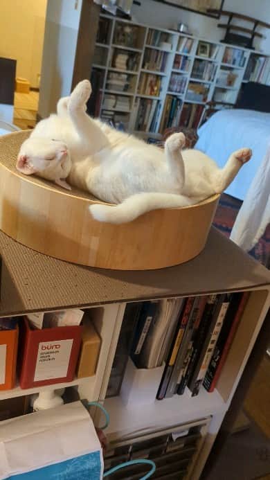 岡田屋鉄蔵のインスタグラム