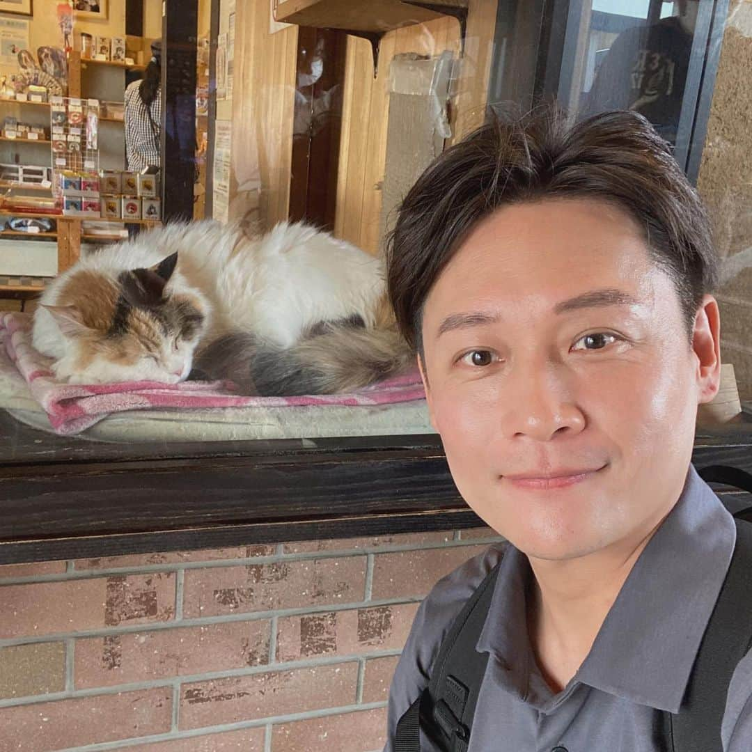 大吉洋平さんのインスタグラム写真 - (大吉洋平Instagram)「ニタマ駅長さん、ありがとうございましにゃあ🐱  生中継ご覧頂いた皆様、ありがとうございましにゃあ😀  #たま駅長 #ニタマ駅長 #貴志駅 #和歌山電鐵貴志川線 #猫 #愛猫 #tamastationmaster #nitamastationmaster」5月4日 17時48分 - yoheioyoshi0823