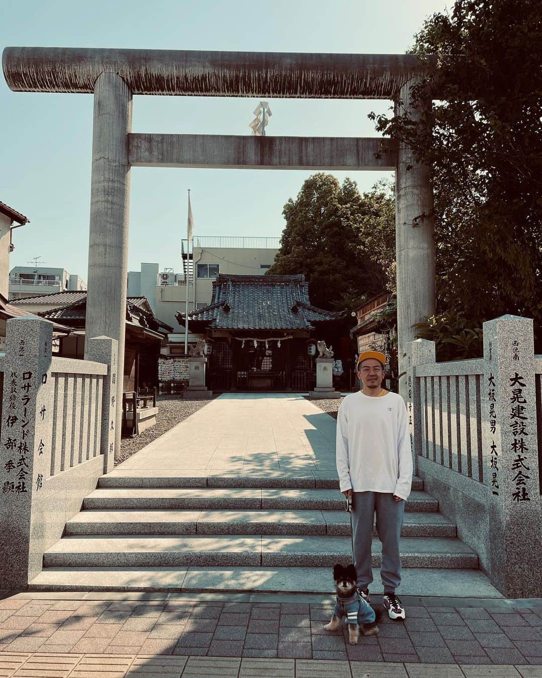 シオマリアッチさんのインスタグラム写真 - (シオマリアッチInstagram)「神社ライドーン⛩  #神社 #ポメラニアン #ペットがいる暮らし」5月4日 17時48分 - shiomariacchi