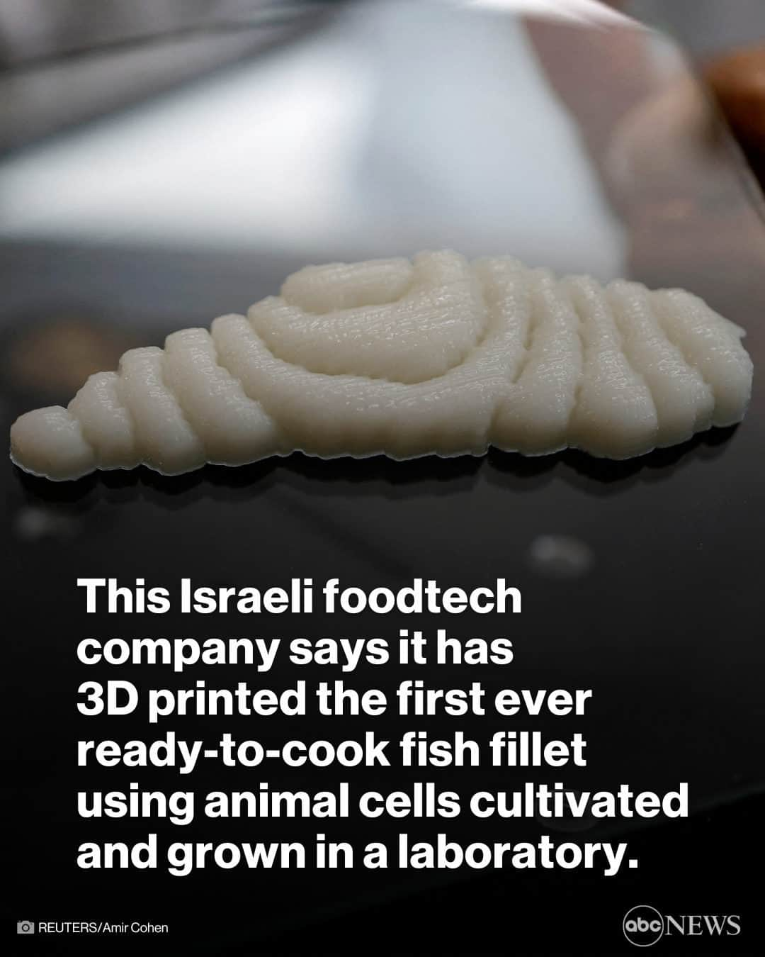 ABC Newsさんのインスタグラム写真 - (ABC NewsInstagram)「Forget your hook, line and sinker. An Israeli foodtech company says it has 3D printed the first ever ready-to-cook fish fillet using animal cells cultivated and grown in a laboratory.  Lab-grown beef and chicken have drawn attention as a way to sidestep the environmental toll of farming and tackle concerns over animal welfare, but few companies have forayed into seafood.  Israel's Steakholder Foods has now partnered with Singapore-based Umami Meats to make fish fillets without the need to stalk dwindling fish populations.  Umami Meats extracts cells - for now from grouper - and grows them into muscle and fat.  Steakholder Foods then adds them to a 'bio-ink' suited for special 3D printers.  The outcome: a narrow fillet that mimics the properties of sea-caught fish.  Umami hopes to bring its first products to market next year, starting in Singapore and then, pending regulation, countries like the United States and Japan.  Cell cultivation alone is still too expensive to match the cost of traditional seafood, so for now the fish cells are diluted with plant-based ingredients in the bio-ink.  "The process is clean, it's transparent. The end product is antibiotics free and I assume that in the future we will understand the health benefits of these cultivated meat products," said Arik Kaufman, the chief executive of Steakholder Foods.  According to Kaufman, as time goes by, the complexity and level of the products will be higher, and production prices will decrease.  A glass dish slides back and forth in the 3D printer, the white finger-length fillet building mass with each pass.  It has the flakiness of traditional fish and when fried and seasoned it is hard to tell the difference.  "I can feel the same, almost the same.. experience of the fish structure in my mouth. And I'm also, really amazed by the juiciness and also the kind of a buttery feel in my mouth," said Megumi Avigail Yoshitomi, representative director of Japan Association for Cellular Agriculture, who attended a tasting event at the company's headquarters in Rehovot. #news #food #eating #fish #3dprinting #tech #science」5月4日 18時00分 - abcnews