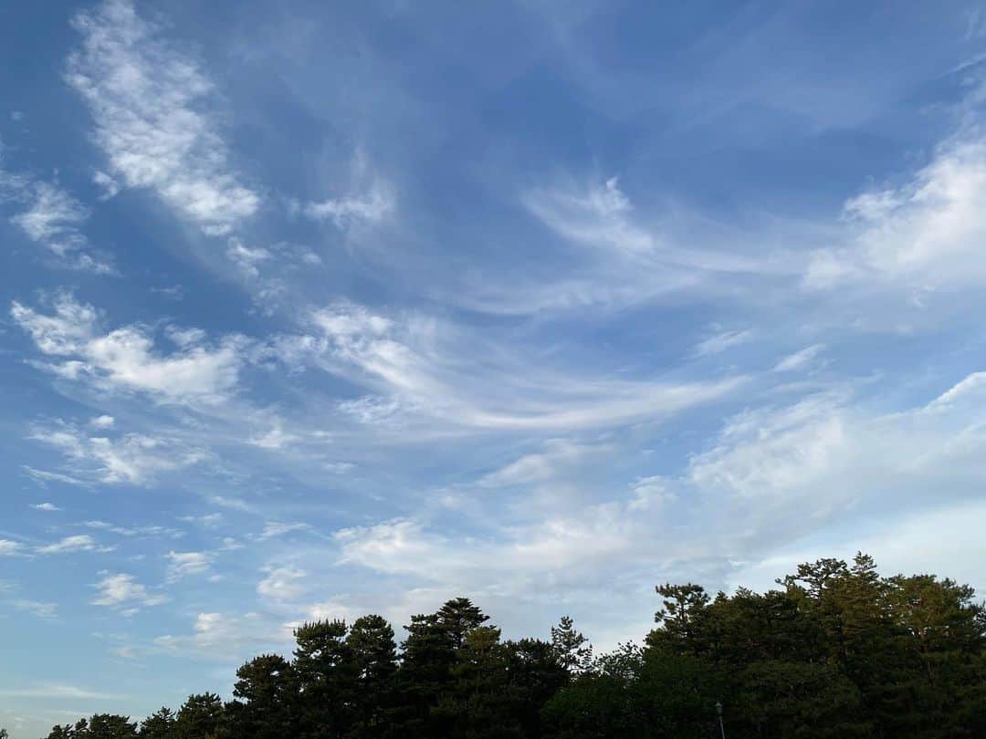 青山有紀さんのインスタグラム写真 - (青山有紀Instagram)「京都御苑だいすき✨」5月4日 18時16分 - yukiaoya