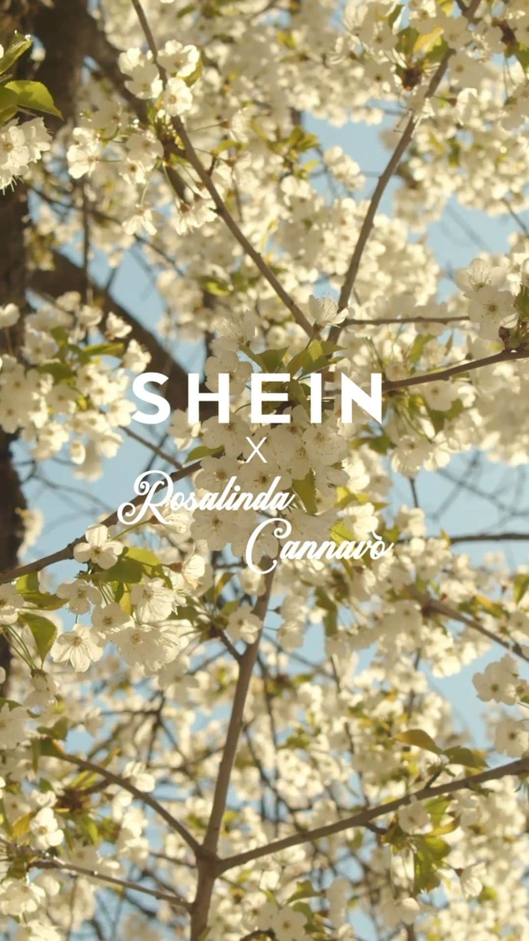 SHEINのインスタグラム：「Escape from the ordinary and go beyond boring travel wear with timeless style from @adua.del.vesco 💃✨  Make elegance your destination and explore the SHEIN X Rosalinda Cannavò Capsule Collection, available now! ✈💕  Shop now: https://shein.shop/hcuirz7  #SHEINXRosalinda #SHEINforAll」