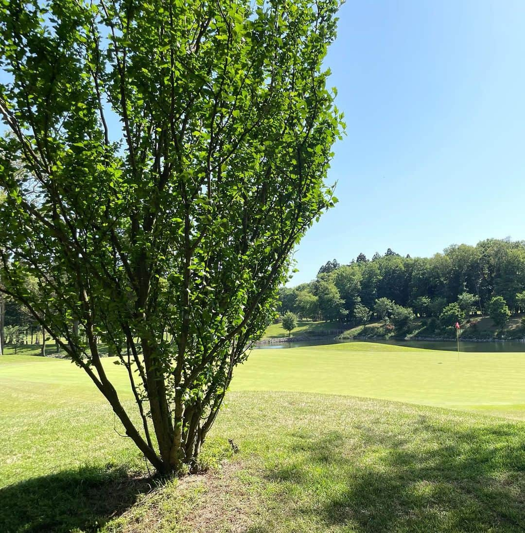 草間淑江さんのインスタグラム写真 - (草間淑江Instagram)「⛳️  快晴☀️  緑と青を感じて。  49 49 98でした！  今日初卸の52と58。  フルスィングしてもピタっと止まって最高👍  慣れたらスコアよくなりそーな予感😆  #草間淑江#ゴルフ#golf」5月4日 18時09分 - yoshie_kusama