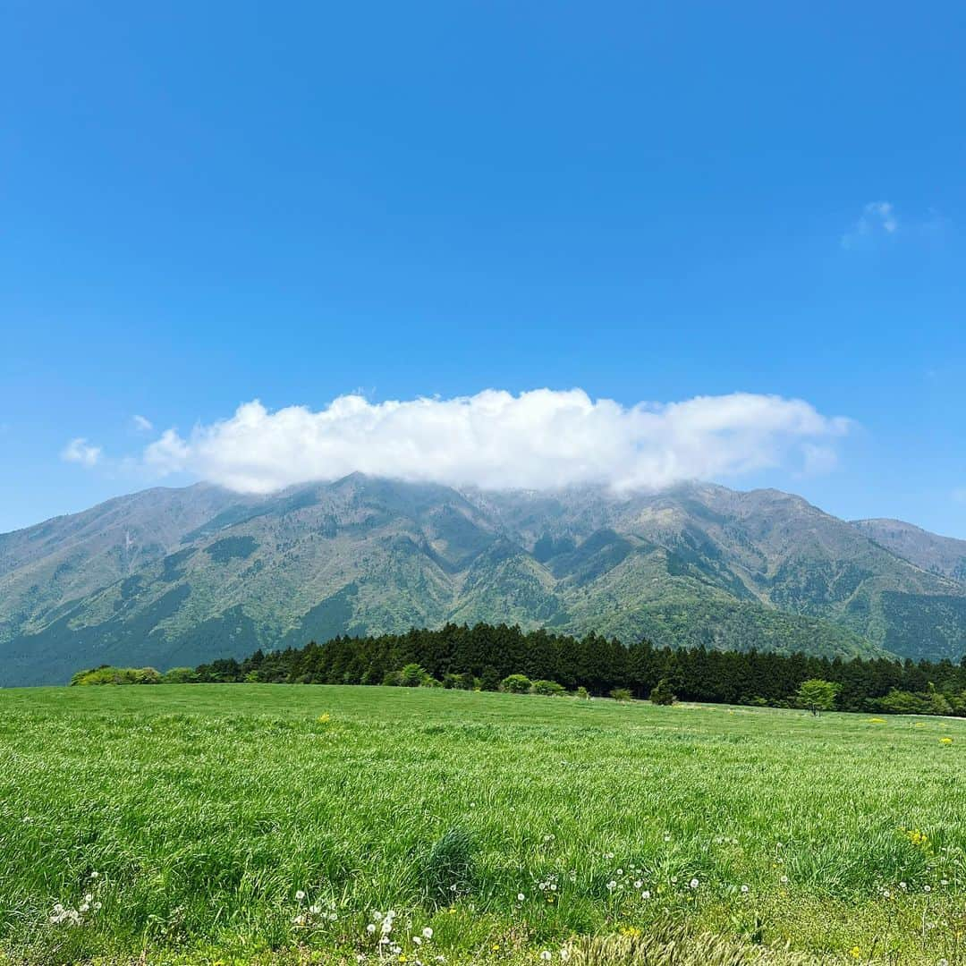 玉井らんさんのインスタグラム写真 - (玉井らんInstagram)「山梨県富士五湖周辺に遊びに来ました⛰️🐮 . . 最高！空気美味しい！ ５枚目のちゃこさん、お散歩中のわんちゃん全員に向かって行っちゃうので、お父さんに捕獲されました。 . . #fuji #mtfuji #富士山 #富士五湖 #山梨県 #牧場 #🐮 #⛰️ #犬とお出かけ #犬と旅行」5月4日 18時11分 - ran_tamai