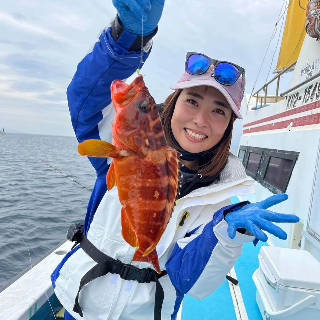 川目梢のインスタグラム：「どーも 初めまして アカハタさん🙇‍♀️  三崎『えいあん丸』で アカハタ&カサゴ五目やってきました😏  下手くそな私は うんざりするほどに根掛かりしたけど 根掛かり軽減できるってウワサの 船ブラ仕掛けってやつで なんとか大本命のアカハタげっつ👌  赤ってよりも 鮮やかなオレンジで見た目もよき👌 高級魚とうたわれてるだけあって味もよき👌  6月30日までポイント制の大会やってるんで、ファミリーや友達とゲーム感覚で楽しめるよ👏  #えいあん丸 #アカハタ #カサゴ #釣り #釣り好きな人と繋がりたい #釣りガール #釣り女子 #釣りスタグラム #釣りバカ」