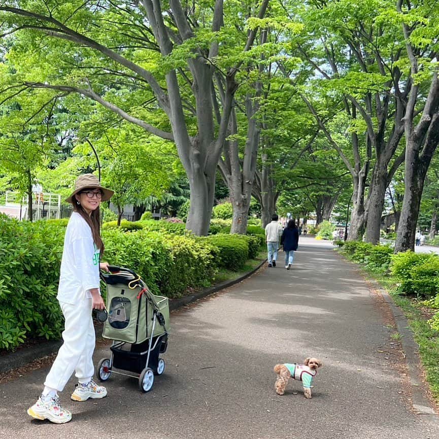 島谷ひとみのインスタグラム