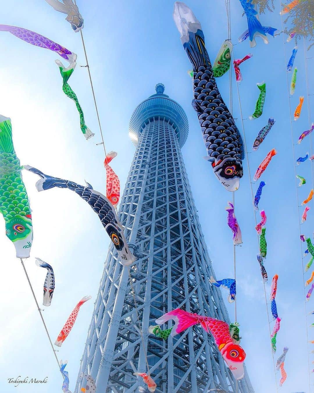 Promoting Tokyo Culture都庁文化振興部さんのインスタグラム写真 - (Promoting Tokyo Culture都庁文化振興部Instagram)「Colourful carp swimming in the sky below Tokyo Skytree 🎏 The culture of koinobori, or carp streamers, is based on wishing for the healthy growth of children, and has been around since the Edo period (1603-1867). - スカイツリーをバックに、青空をがのびのびと泳ぐカラフルな鯉🎏 江戸時代から続く鯉のぼりの文化は、子供の健やかな成長を願って掲げられています。  #tokyoartsandculture 📸: @toshiyukimaruki」5月4日 18時36分 - tokyoartsandculture