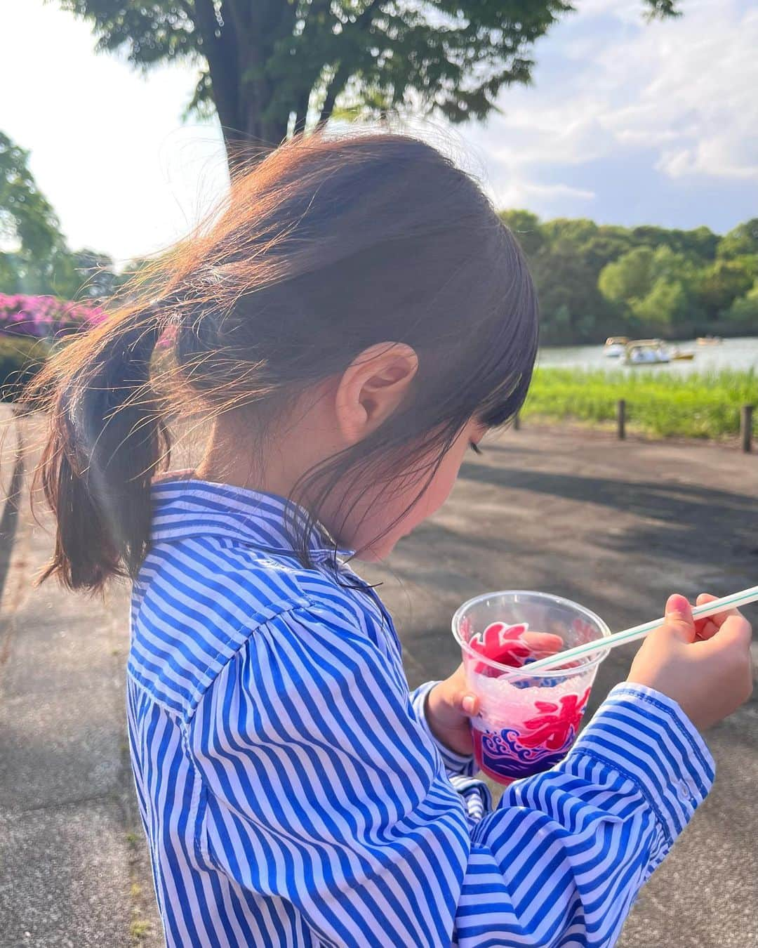 八木麻紗子さんのインスタグラム写真 - (八木麻紗子Instagram)「. ゴールデンウィーク後半はのんびり過ごしています。  都内の公園や植物園を散策。 サンドウィッチ、急いで作ったけど足りなかった…😅  たくさん深呼吸しておきました🌿  #GW #gwの過ごし方 #公園でピクニック #ネモフィラ #子どもたちは今年初かき氷 #ボルトも気持ち良さそう」5月4日 18時52分 - yagi_masako