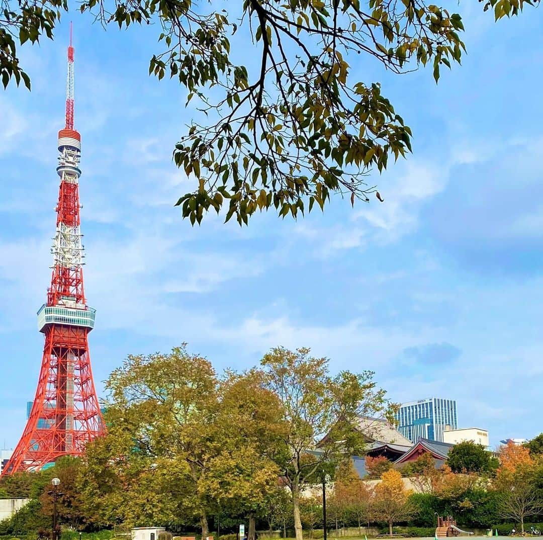 東京プリンスホテルさんのインスタグラム写真 - (東京プリンスホテルInstagram)「東京プリンスホテルが佇む芝公園エリアは緑あふれる都会のオアシス。  #東京ステイ をゆったりとお楽しみいただけます。  Tokyo Prince Hotel lies in the grounds of the scenic Shibakoen park, a lush oasis of greenery in the very centre of the city 🌳   Make the most of your #Tokyotrip  Share your own images with us by tagging @tokyoprincehotel  —————————————————————  #東京プリンスホテル #東京タワー #東京観光 #tokyoprincehotel #toykotower #sightseeing」5月4日 19時14分 - tokyoprincehotel