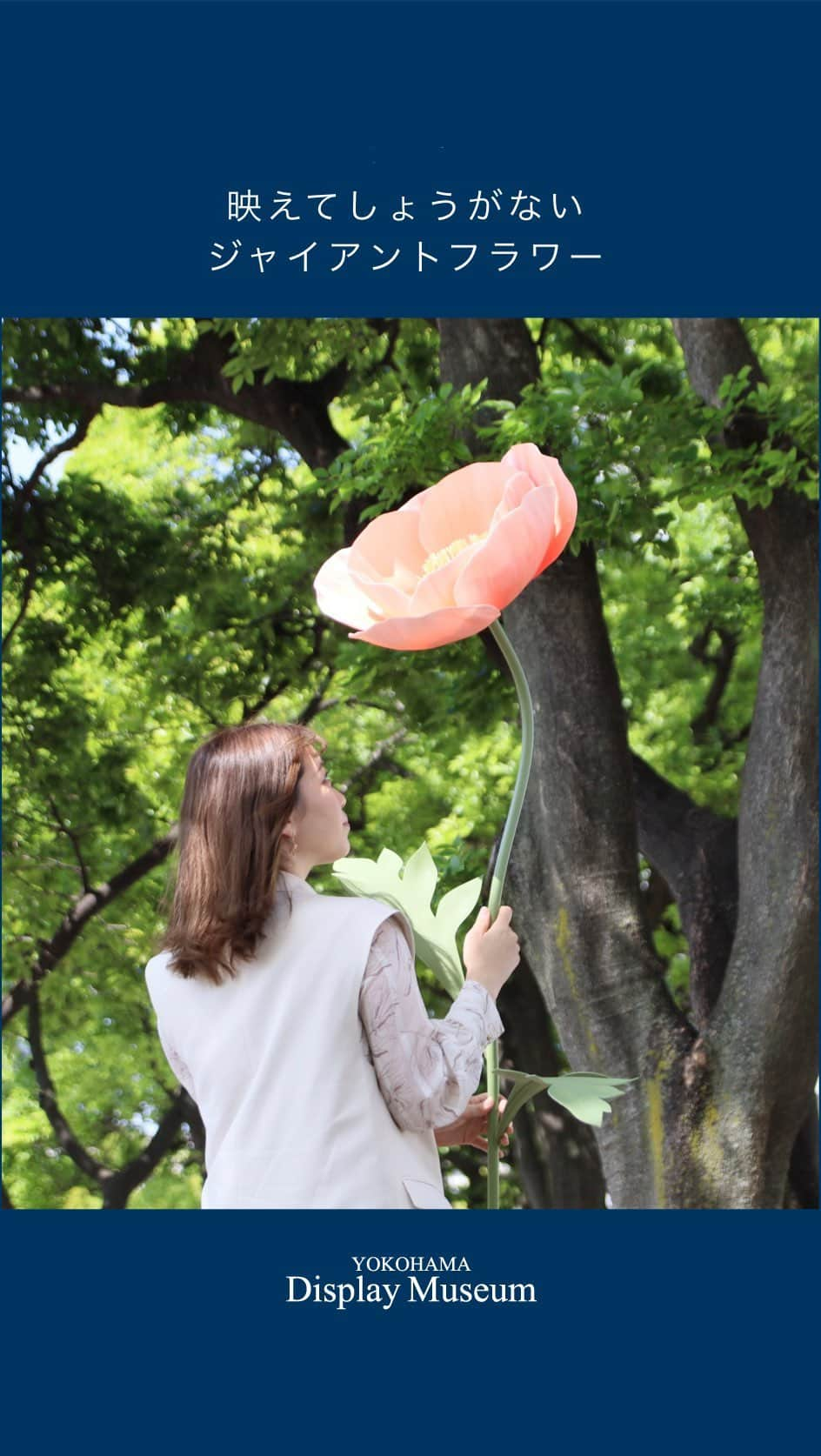 横浜ディスプレイミュージアムのインスタグラム：「🌼魔法のお花🌼  見た人全てが笑顔になる 魔法のお花を知っていますか？  まるでおとぎ話の世界✨ とっても目を引く 大きなお花🌼  名前はそのまま  🌼  🌼ジャイアントフラワー🌼  🌼  YDMでジャイアントフラワーの 取り扱い開始いたしました🌼  4月から本店のステージで 展示しておりますが、 皆様写真を撮られたり 可愛い〜というお声が鳴り止まない…！  こちら、お店で置いてある商品も ご購入いただけますし、 国内生産商品の為お好きなお花で フルオーダーも可能です🥹  詳しくはHPピックアップ記事をご覧ください👍  既に写真スタジオさんや児童施設さんから お問い合わせいただいております😊  このお花を持つと皆んな笑顔になる 魔法のお花💐 沢山の方の笑顔が咲きますように🌼  ※ゴールデンウィークは カレンダー通りに お休みいただきます🙇 お問い合わせやご注文は 週明けからとなりますので 宜しくお願いします🙇‍♀️  . . ディスプレイスタイリング専門アカウント @ydm_deco.styling : フェイクグリーンスタイリング専門アカウント @ydm_fakegreen.styling  アーティフィシャルフラワー専門アカウント @ydmarrangementline : 横浜ディスプレイミュージアム公式 ディスプレイ専門アカデミー @jdca_school  プチプチハッピープラス 株式会社ポピーが運営♪ 全国の100円ショップで展開中♪ @puchihapi  please follow me🌸 팔로우 해 주세요🌸 ​请关注一下🌸 :  #横浜ディスプレイミュージアム#横浜#ジャンボフラワー#ジャイアントフラワー#giantflower #プロップス#花#花のある暮らし #映える写真」