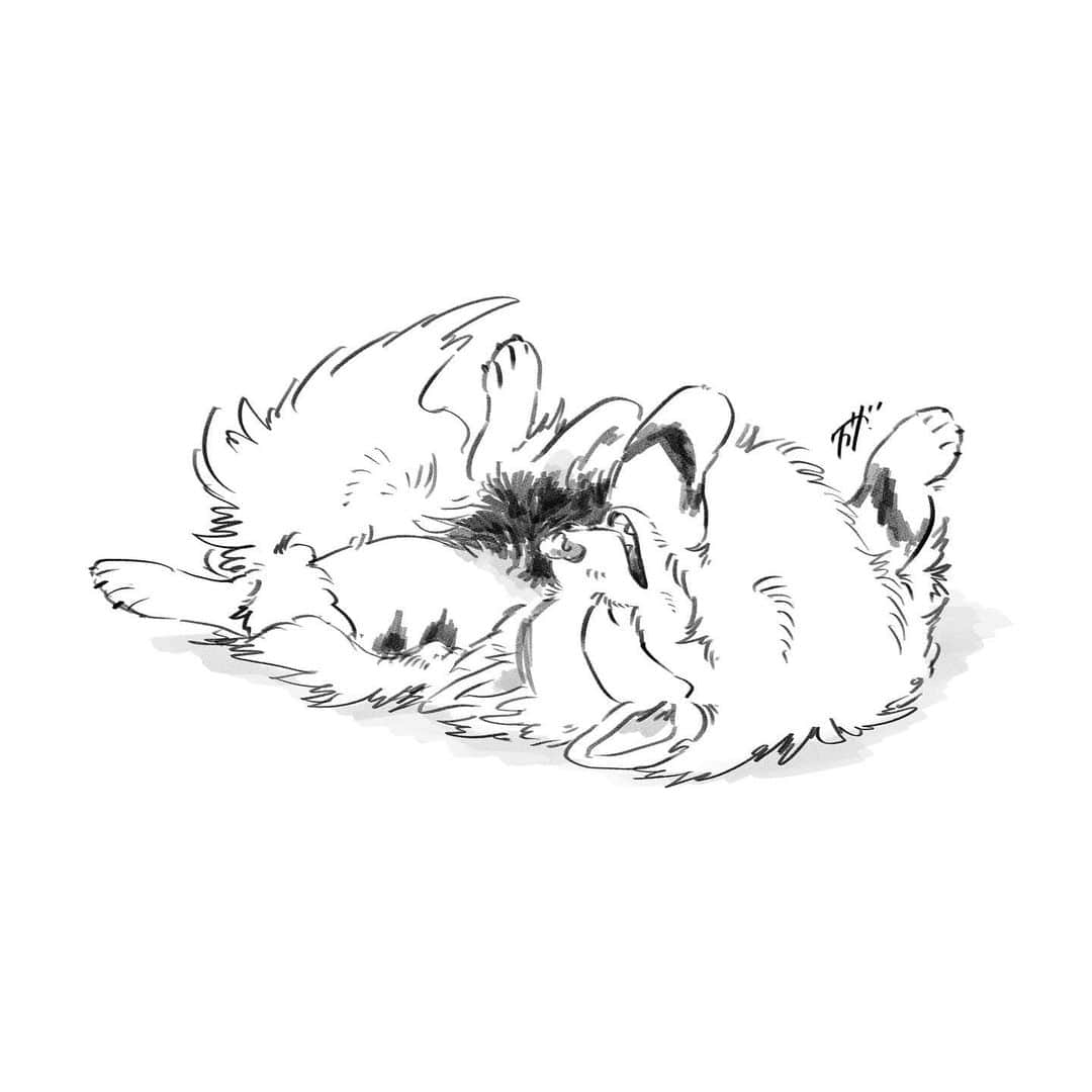 クラナガさんのインスタグラム写真 - (クラナガInstagram)「わんわん  #イラスト #illustration #instagood  #ポケモン #pokemon #dog #犬」5月4日 19時37分 - kuranaga11