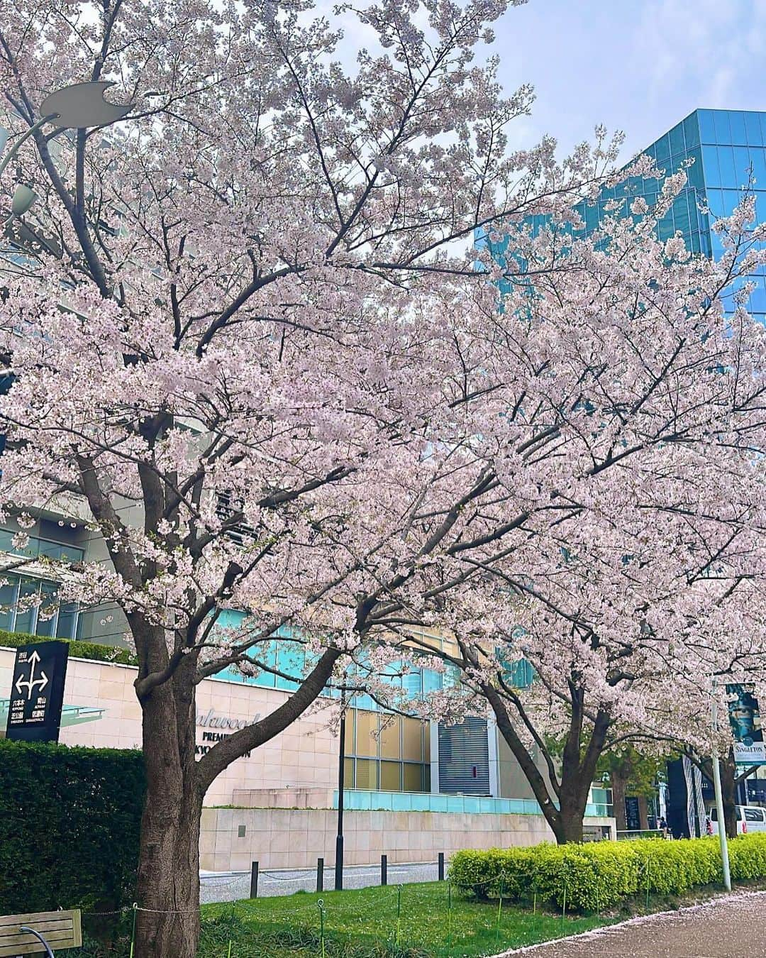 五條まりなさんのインスタグラム写真 - (五條まりなInstagram)「♡ 　 3月🌸 ⁡ 親戚の傘寿のお祝いと 義両親の結婚40周年のお祝いの家族会の時の写真✨ 　 ⁡ #令和4年ベビー#男の子ママ#男の子ベビー」5月4日 19時59分 - marina.gojo