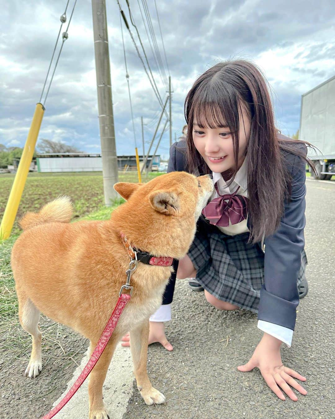 齊藤なぎささんのインスタグラム写真 - (齊藤なぎさInstagram)「🐶🐶❤️ ⁡ ⁡ ⁡ 撮影中、わんちゃんがいまして とてもとても可愛くて癒しでした…… ⁡ 1枚目同じような顔してるのが、お気に入り。 ⁡ ⁡ #明日私は誰かのカノジョ #明日カノ2 #齊藤なぎさ」5月4日 20時01分 - saitou_nagisa