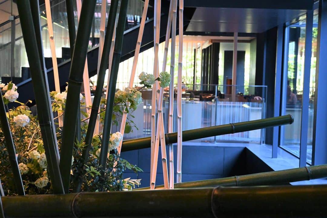 ザ・キャピトルホテル 東急 公式さんのインスタグラム写真 - (ザ・キャピトルホテル 東急 公式Instagram)「タイトル「風薫る」  5月のロビーの #いけばな は、とさみずきやビブルナムの柔らかいグリーンを基調に、割竹の細い流線で新緑の風を表現しております。 庭園の緑、隣接する日枝神社の豊かな杜と響きあい、ロビーにも薫風が吹き抜けるような作品です。 __________  #ザキャピトルホテル東急 #TheCapitolHotelTokyu #草月 #草月流 #ホテルロビー #hoteldesign #ikebana #flowerarrangement #sogetsu #flower #japaneseflowerarrangement #flowerstagram #ThePreferredLife」5月4日 20時09分 - thecapitolhoteltokyu
