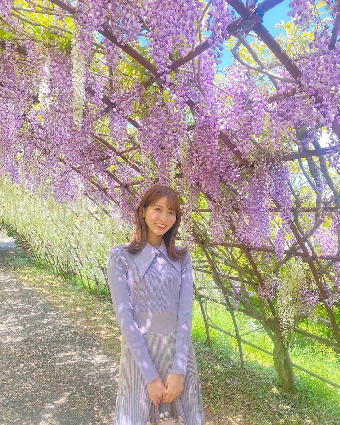 山下七子さんのインスタグラム写真 - (山下七子Instagram)「去年からずっと行きたくて念願の藤の花を見に行けました〜💐♪♪ 綺麗な藤の花と甘い香りに包まれていて幸せ空間すぎました😌😌 #河内藤園 #北九州#北九州市#春のお出掛け#春コーデ#ニットワンピース #藤の花#花#外ハネ#ミディアムヘアアレンジ」5月4日 20時36分 - yamashita_nanako