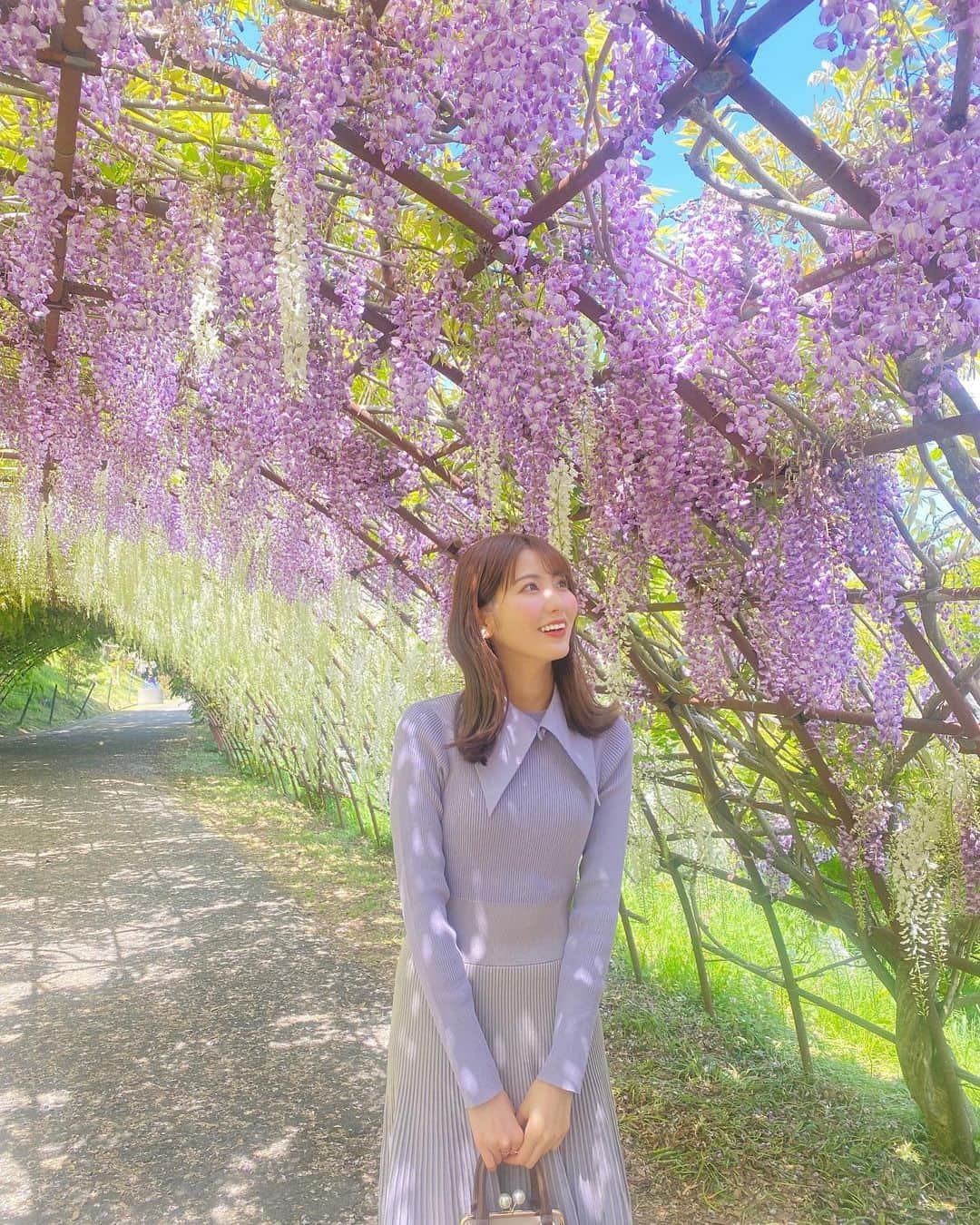 山下七子さんのインスタグラム写真 - (山下七子Instagram)「去年からずっと行きたくて念願の藤の花を見に行けました〜💐♪♪ 綺麗な藤の花と甘い香りに包まれていて幸せ空間すぎました😌😌 #河内藤園 #北九州#北九州市#春のお出掛け#春コーデ#ニットワンピース #藤の花#花#外ハネ#ミディアムヘアアレンジ」5月4日 20時36分 - yamashita_nanako