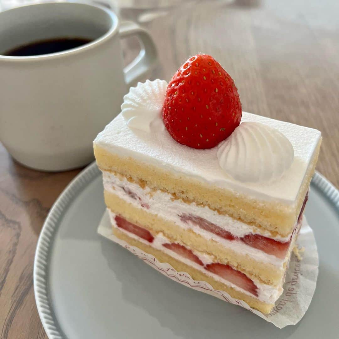 白石一文さんのインスタグラム写真 - (白石一文Instagram)「ショートケーキ。」5月4日 20時41分 - s.kazu2017