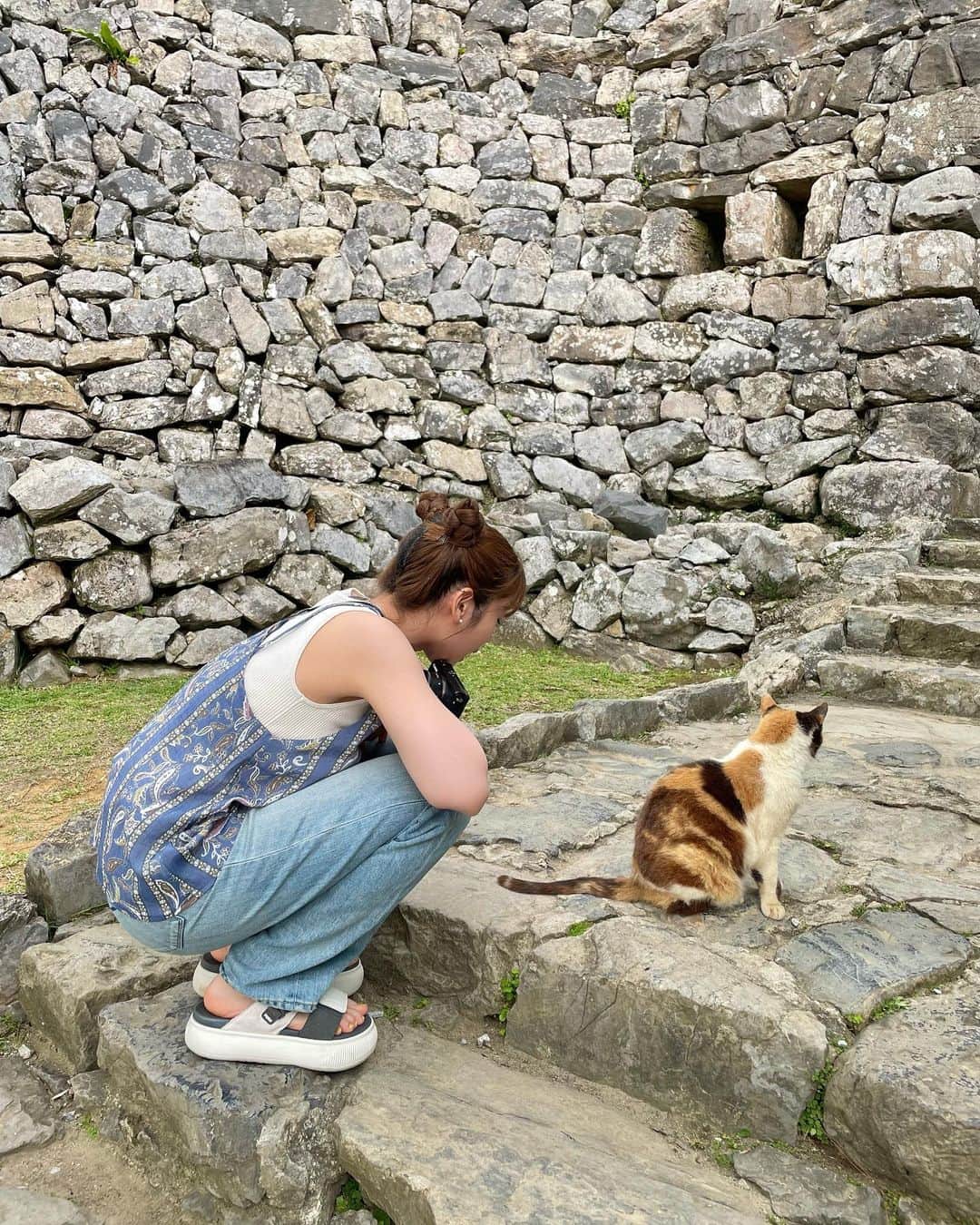 のインスタグラム：「にゃーこっち向いてくれなかった」