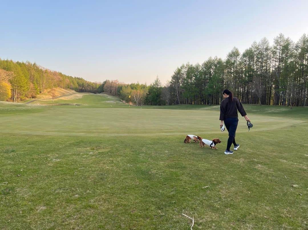 菊間千乃のインスタグラム：「ワンコとゴルフ⛳️ 幸せなお休み❤️」