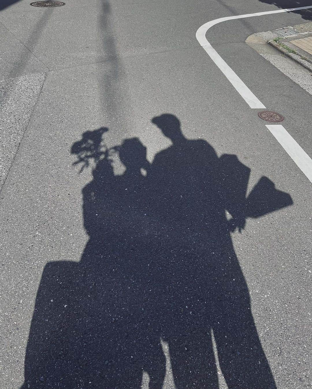 Julia Castroさんのインスタグラム写真 - (Julia CastroInstagram)「💐♡ . #flower #shadow #couple #photography #ある日の休日 #julistagram」5月4日 21時38分 - julia.c.0209