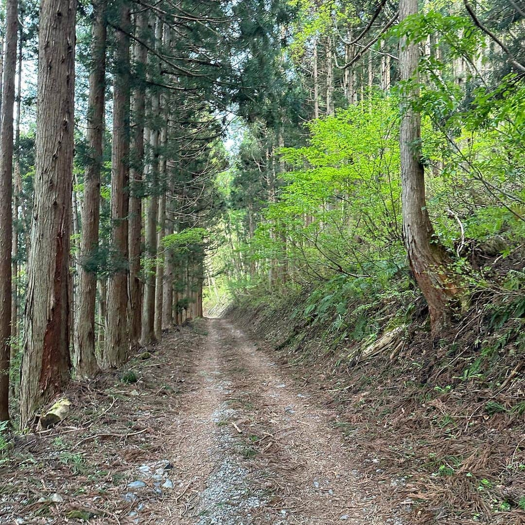 田中里依奈さんのインスタグラム写真 - (田中里依奈Instagram)「. 今日は、千国街道（塩の道）の佐野坂峠、青木湖までの古道にある「鬼石」をご紹介👹 ちょうど、鬼滅の刃のアニメがやっているので😁 鬼の爪の痕が残ってる石なんだって👹 私のおばあちゃんが生まれた、青鬼集落もそうだけど、白馬地域は鬼伝説が多くあります😀 歩くの疲れたけど楽しいな🙌 やっぱり自然が大好きです💓 . ちなみに、千国街道（塩の道）は、一般的には、上杉謙信が敵である武田信玄に塩を送った事から、「敵に塩を送る」の語源になった事で、塩の道と呼ばれていますが…。  諏訪信仰の道とも言われていて、千国街道の道筋のほとんどの神社は諏訪神社で、大国主命と奴奈川姫の子の建御名方が出雲を追われ、姫川沿いに諏訪へと入信したと伝わるその道筋が、千国街道と重なり、更にこのルートで糸魚川産のヒスイや信濃産の黒曜石が運ばれたみたい。 古事記とか古代史が好きだから、神話の神様が歩いてたと想像して歩くのが楽しい☺️ 白馬の塩の道ウォーキングでは歩かない場所だから、穴場スポットです💓 . #佐野坂峠#鬼石#千国街道#塩の道 #敵に塩を送る#古事記#諏訪信仰の道 #三十三番観音石仏群#鬼の手#青木湖#歴女#歴史好き #姫川源流#白馬村#白馬の歴史#故郷の歴史を伝えたい」5月4日 21時50分 - riina_tanaka