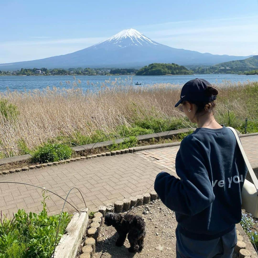 植村麻由のインスタグラム：「4月のいろいろ🗻🍻」