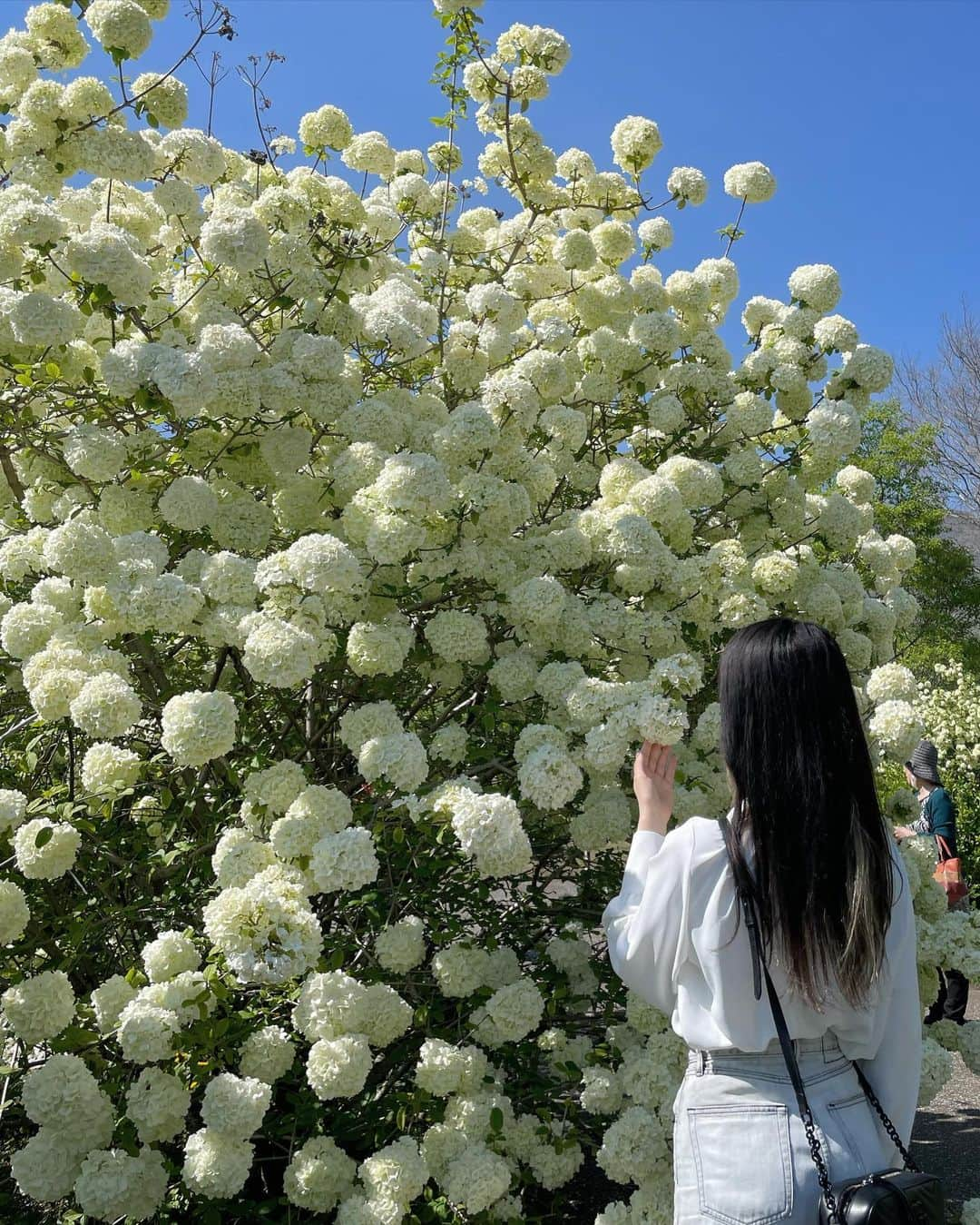 端田三奈未さんのインスタグラム写真 - (端田三奈未Instagram)「🚗▶︎▷▷🌸🌷🏵️ 綺麗だね〜道草。  • #くじゅう花公園 #くじゅう #くじゅうの良さを広め隊 #阿蘇くじゅう国立公園 #gw帰省 #花と緑のある暮らし」5月4日 22時03分 - scr_mi