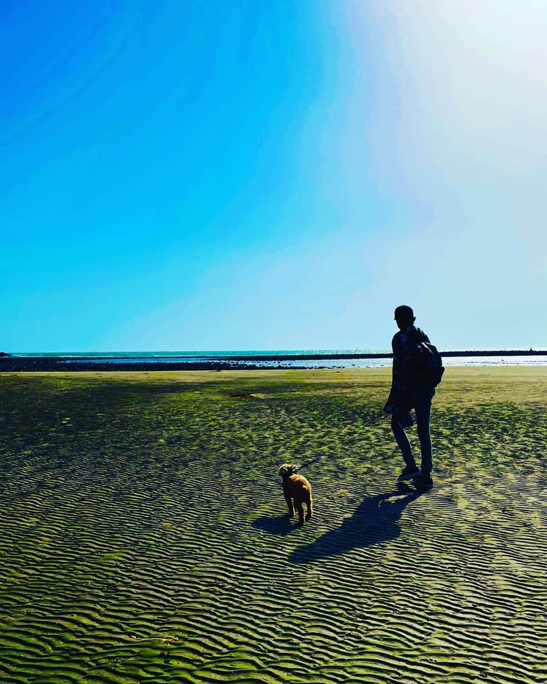 マイケル富岡のインスタグラム：「癒し時間♡ mokoと海sanpo♪ #beautiful #ocean #nature #love #moko #mybaby #mylove #愛犬 #愛犬家 #癒し #癒し時間 #journey #appreciation #shooting #感謝 #マイケル富岡 #タレント #俳優 #撮影 #beach #resort #actor #actorslife #隠れ家 #generalamericanhome」